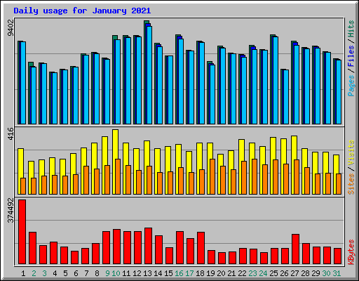 Daily usage for January 2021