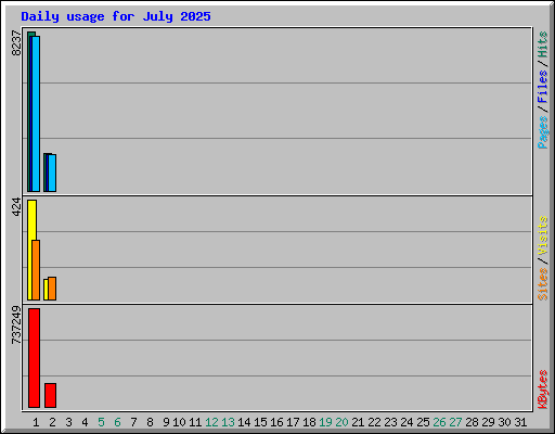 Daily usage for July 2025