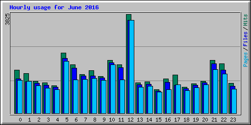 Hourly usage for June 2016