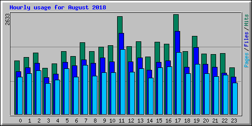 Hourly usage for August 2018