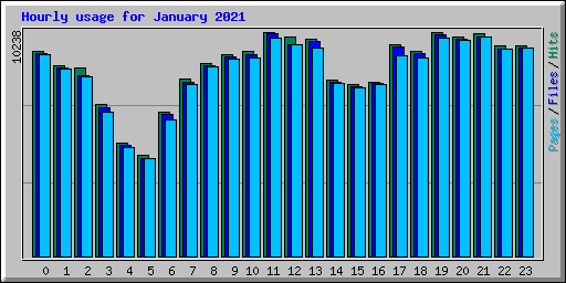 Hourly usage for January 2021