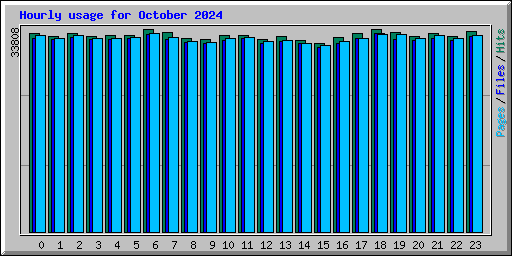 Hourly usage for October 2024