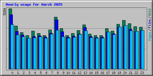 Hourly usage for March 2025