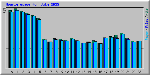 Hourly usage for July 2025