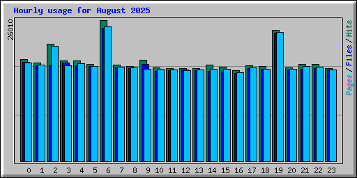 Hourly usage for August 2025