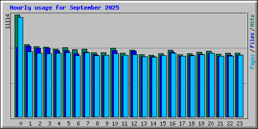 Hourly usage for September 2025