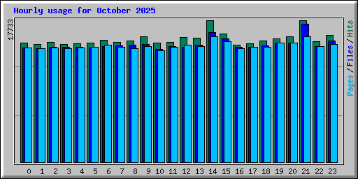 Hourly usage for October 2025