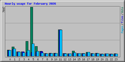 Hourly usage for February 2026