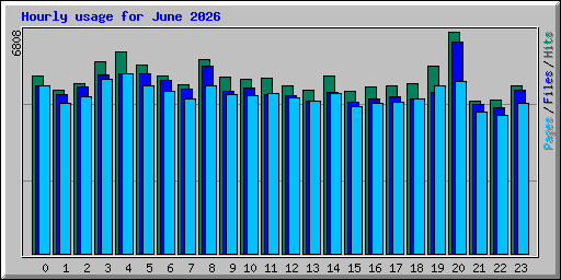 Hourly usage for June 2026