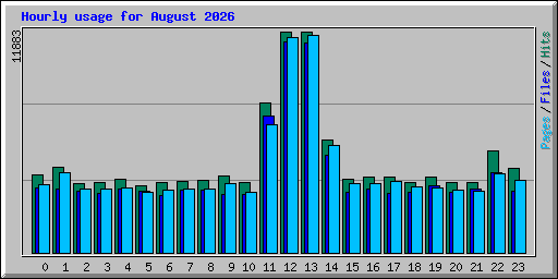 Hourly usage for August 2026